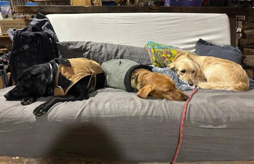 Exclusive Complete Property Buyout - Foto 23