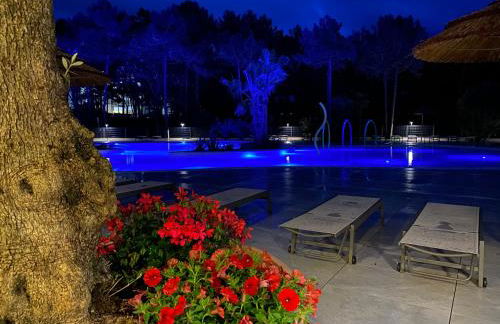 Dune Prestige & Chalets - Foto 17