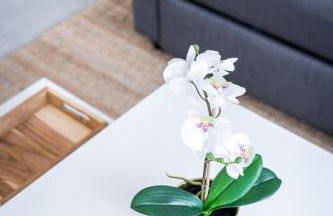 Le Cool Plex Duplex avec Jardin, Disney 10mn - Foto 8