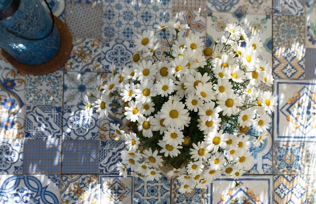 Il Fico nel Pozzo in Fossacesia - Foto 18