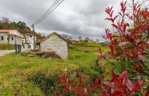 Azenha da Lavoura em Barrega - Foto 61