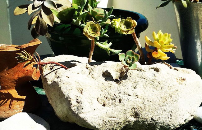 The Roof - Flat Sea View in Aegina Town - Photo 23