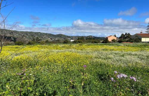 Casa La Veguetilla en San Mateo - Foto 43