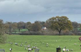 The TreeHouse Hideaway - Foto 29