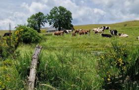 La ferme de Jouane - Photo 10