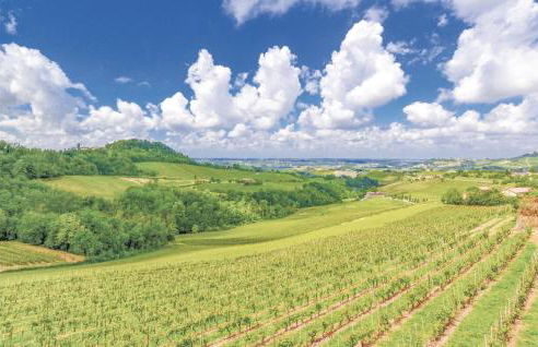 Beautiful Home In Cuccaro Monferrato Al - Foto 7