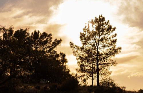 Casa do Arrozal Comporta - Foto 21