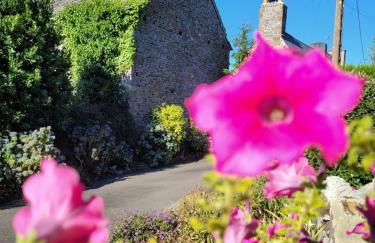 Kanevedenn - Foto 12