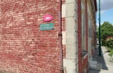 maison pink flamingo aeroport tillé 2 a 4 personnes - Foto 19