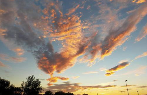 Le Figuier appart 2-3 pers en plein vignoble avec piscine privée à 30mn des gorgesdu Verdon et des plages - Foto 26