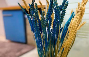 Giasemi Island House - Foto 4