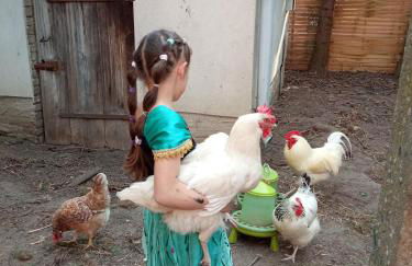 Storchennest mit eigenem Hof, Spielwiese und Terrasse - Foto 17
