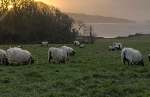 Havre de Paix, parking, wifi, draps et servilletes, tout inclus - Foto 15