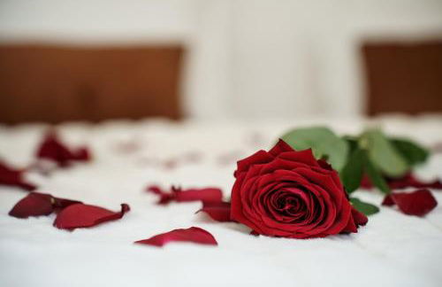 My Home Prestige / SPA Privatif - Foto 15