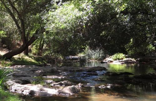 Pureza del Hueznar - Foto 16