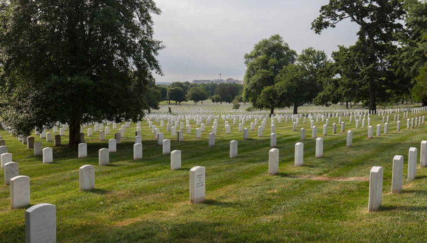 Excursión a Washington DC - Foto 2