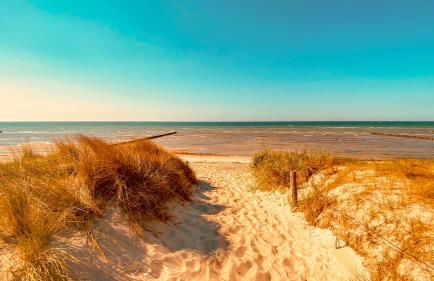 Haus Sansibar auf Poel mit Sauna& Kamin, ruhigem Garten-700m vom Strand! - Foto 36