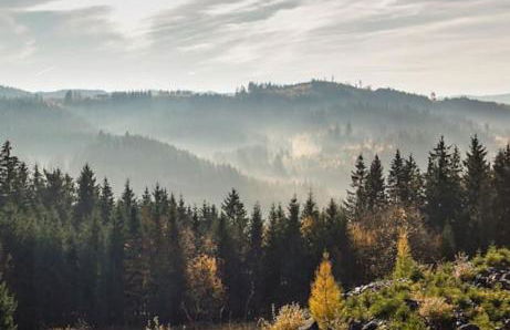 Ferienwohnung auf dem Dach des Frankenwaldes - Foto 19