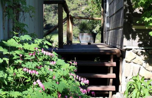 Riverfront Cabin Rental for Four near Crater Lake National Forest, Oregon - Foto 32