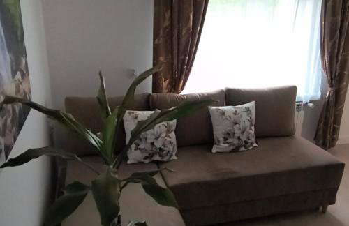 Apartament Palmowy Harnaś - Foto 12