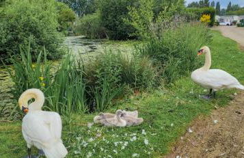 Billing Aquadrome ,3 bedrooms caravan - Photo 60
