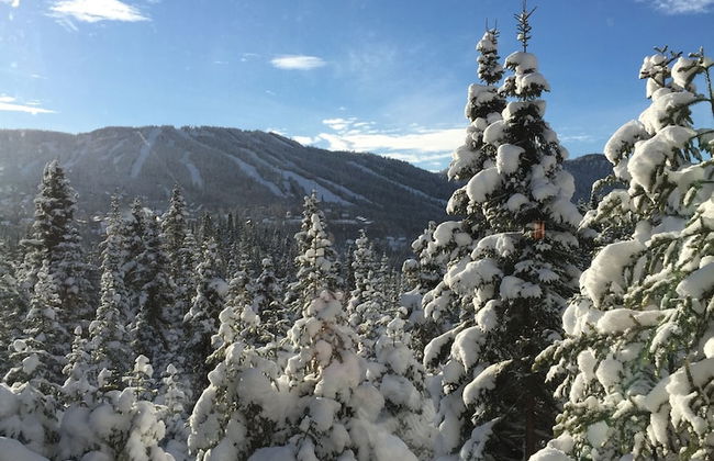 Imago Village - Foto 40