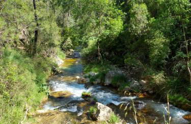 Apartamentos El Madroñal - Foto 60