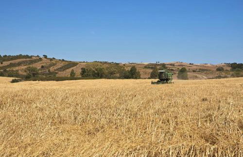 Casas do Monte - Foto 35