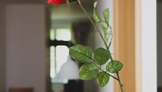 Ferienappartements Schweizer Haus - Photo 2