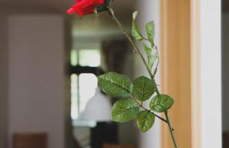 Ferienappartements Schweizer Haus - Foto 2