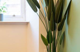 The Annick Suite No1 - Donnini Apartments - Foto 40