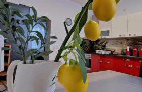 Familienfreundliche große Fewo Peter in Bärenstein bis 5 Personen - Foto 10