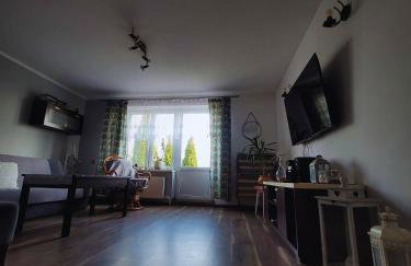 Agroturystyka na Jęczmiennej - całe mieszkanie, 2 tarasy - Foto 21