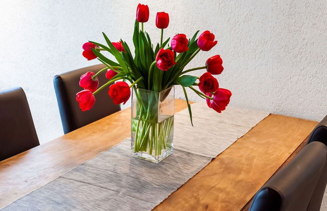 Apartment in Sankt Gallenkirch Near Ski Slopes - Foto 19