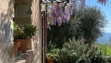 Tuscan Country House - Capanna dei muli - Foto 3, Garden view