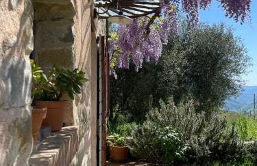 Tuscan Country House - Capanna dei muli - Foto 3