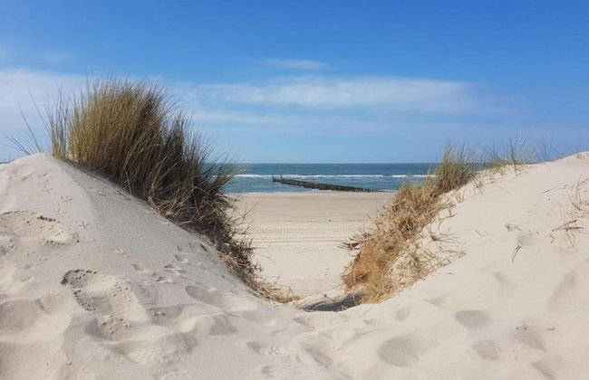 Villa in Domburg Near North Sea Beach - Foto 30