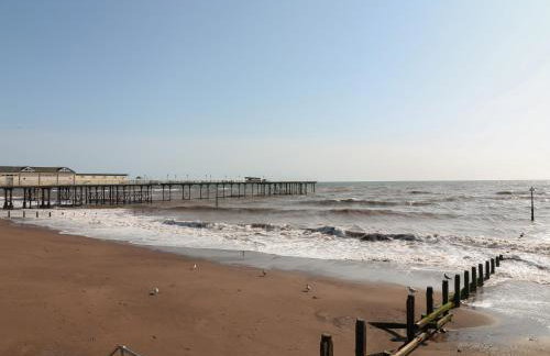 Sea Thrift - Photo 15