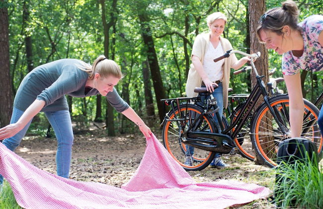 Holiday Home Near Biesbosch & Breda - Photo 27