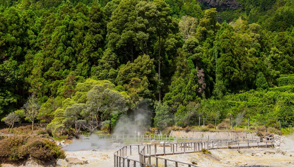 Tour di Furnas+ Piantagioni di tè di Gorreana