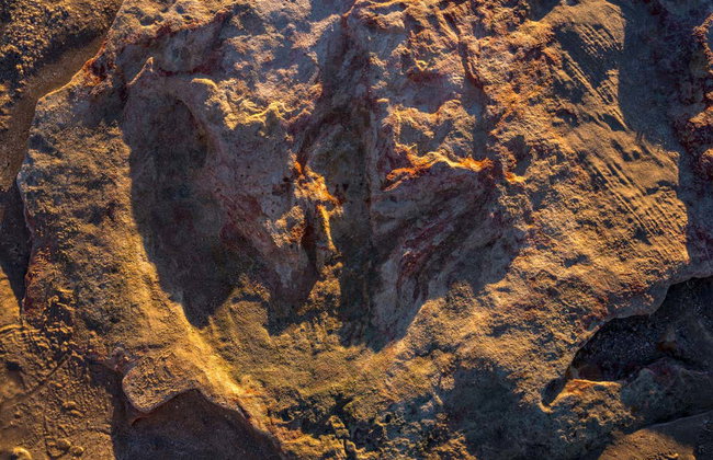 Tour por Broome y Willie Creek + Atardecer en Gantheaume Point - Foto 7