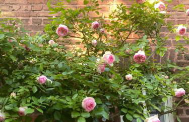 Scheunentraum Brenig - Foto 32