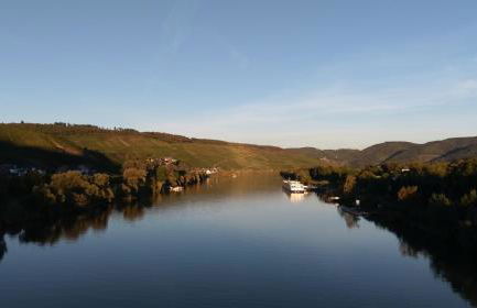 Weingut Schumann - Foto 17