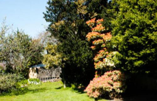 Mumbles - House - Seaside - Sleeps11 - PetFriendly - Foto 27