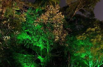 CurtaTere piscina lareira pet friendly jardim - Foto 34