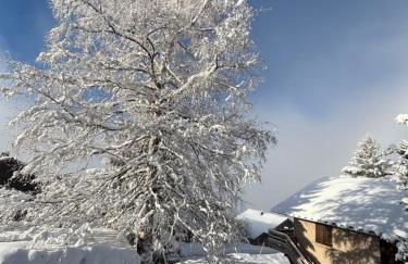 Chalet Rouge ou Blanc - Foto 56