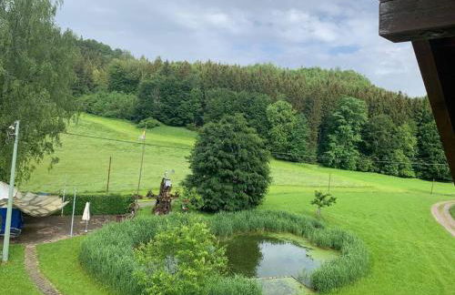 Idyllisches Ferienapartment Allgäu (Ehwiesmühle) - Foto 15