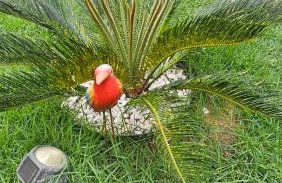 Casa Container Luxo Exclusive - Photo 20