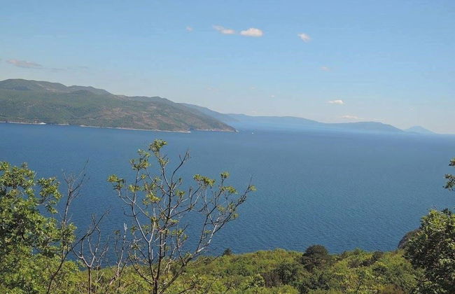 Serene Garden Apartment With Terrace - Foto 7