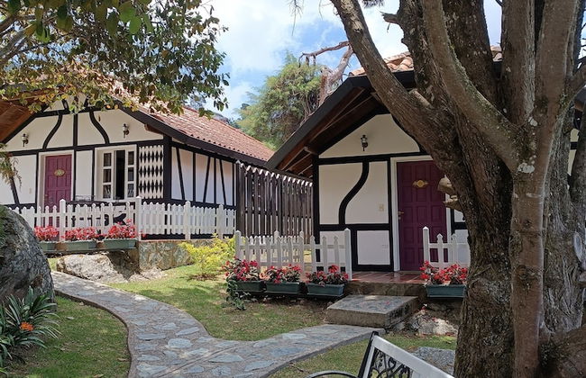 Cabañas Hessen - Colonia Tovar - Foto 10